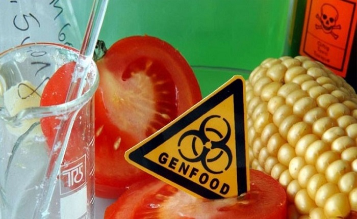 Европейцы начали умирать от ГМО–продуктов