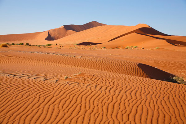 Интересные факты про пустыню Сахара