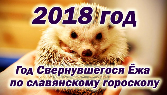 2018 - год свернувшегося ежа по славянскому календарю